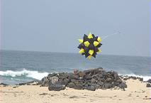 ... und erstaunte Burgherren ...