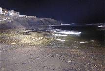 Abendlicher Hafenspaziergang ...