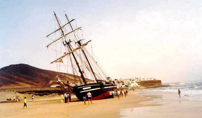 An Land und am Ende: Die "Rose of Sharon" ...