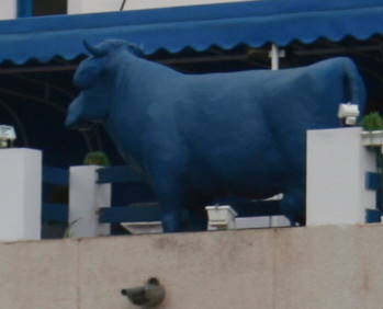 Auch nicht zu bersehen: Die "Blaue Kuh" auf der Dachterrasse ...