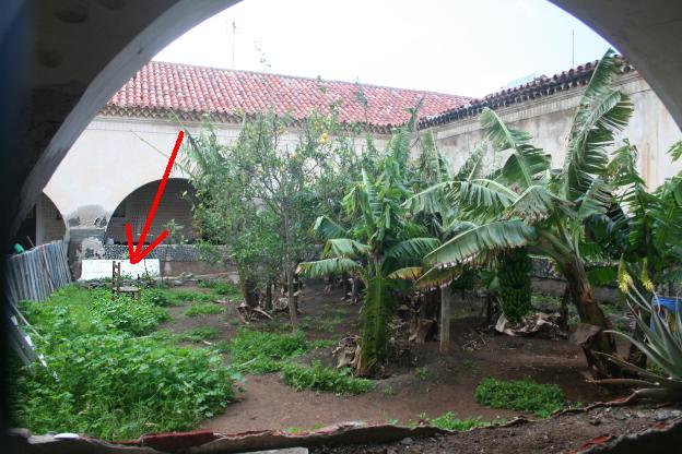 Der verwilderte Garten: Stuhl nicht weggerumt ...