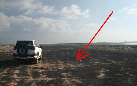 ... auch bei der alten Landebahn im Süden ... ... auch bei der alten Landebahn im Süden ...