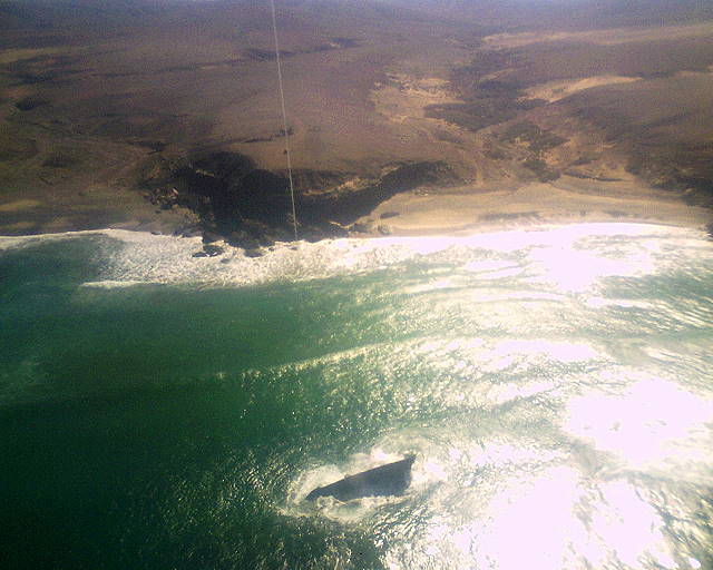 Und tief unten im Gegenlicht: Die Bugspitze der American Star ... 