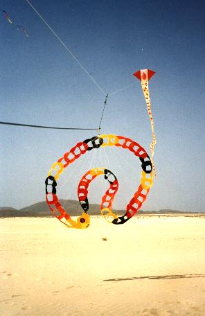 40m-Seidenschlange (mit Knpferschlange) ...