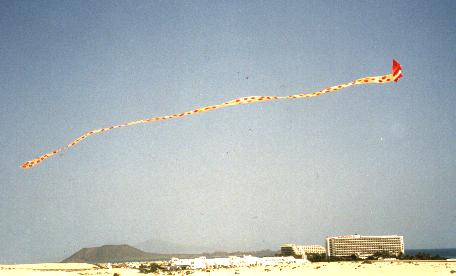 40m-Seidenschlange (vor Los Lobos) ...