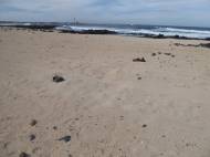 Weichsand im Gegenlicht leicht unterschtzt ...