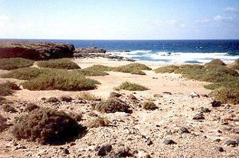 Am Barranco de Jarugo ...