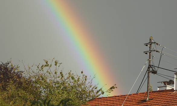 Mein Nachbar - ganz nah ...