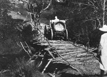 Mitten aus der Schlucht empor ragte ein alter Baum, an den die Eingeborenen die Brcke angelehnt hatten ..