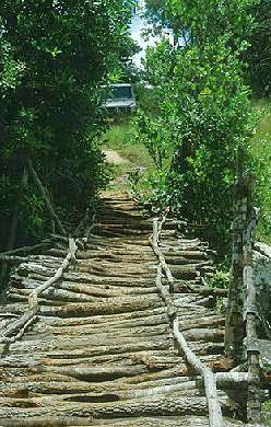 Matete Schilfbrcke ...