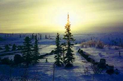 Abend am Dogdrop 101 ...