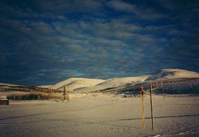 Der Trail beim Dogdrop 101 ...