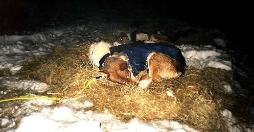 Pause bei - 45° C ... Pause bei - 45° C ...