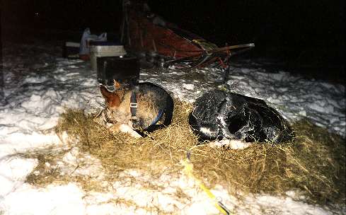 Checkpoint-Routine ...