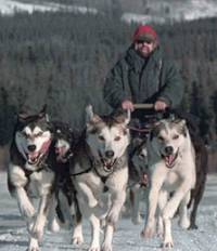 Frank Turner, Yukon Quest ...