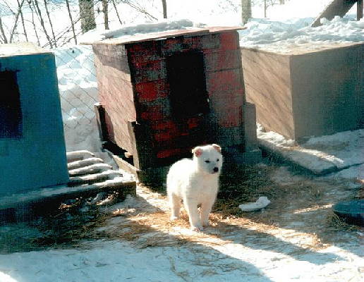 Vater Frosty aus dem Gesicht geschnitten: Der kleine Schneemann ...