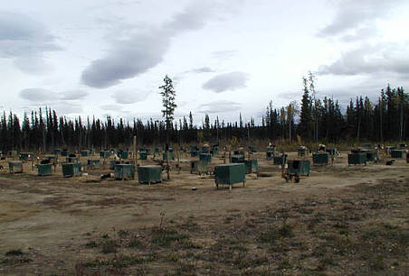 Platz genug fr alle: Im Kennel von Frank Turner ...