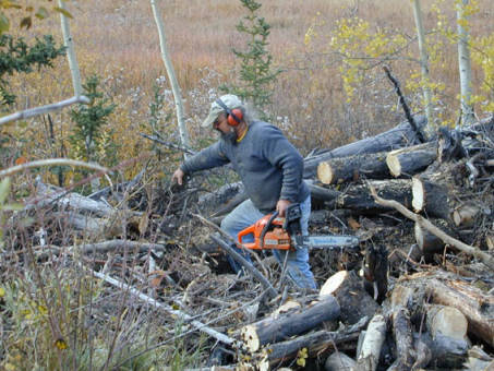 Bei der Arbeit: Frank Turner ...