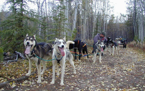 Auf Trainingstour ...