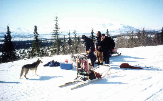 ... im wilden Alaska ... ... im wilden Alaska ...