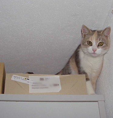 Oje, hier geht es nicht weiter ...