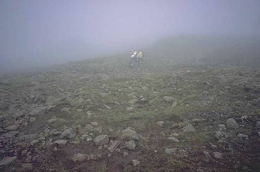 Herumstochern im Nebel ...