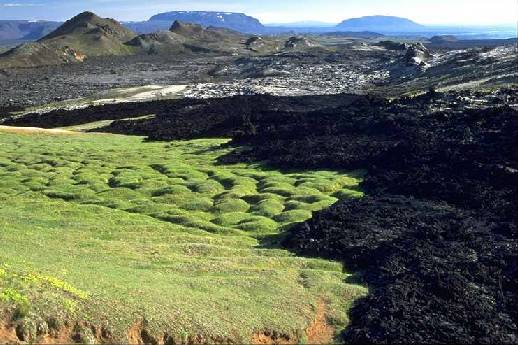 Vulkanische Ttigkeit 1975 bis 1984 ...