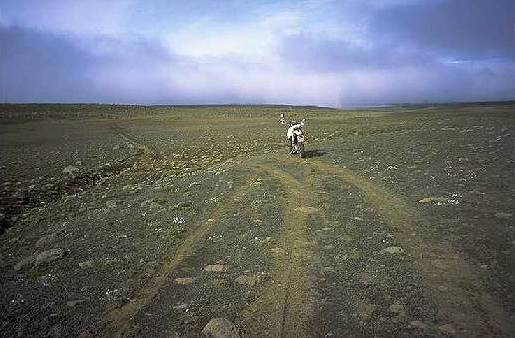 Schnell heranziehende Nebelfront ...