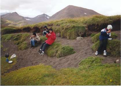 Blaubeeren abernten ist angesagt ...