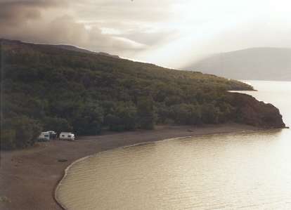 ... in einem seltenen Waldgebiet ...