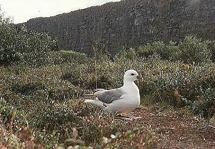 ... mit Idylle davor ...