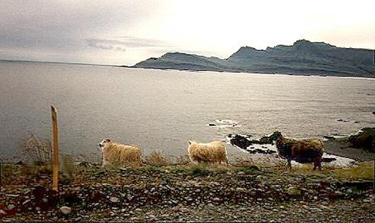 ... Idyll an der Ostkste ...