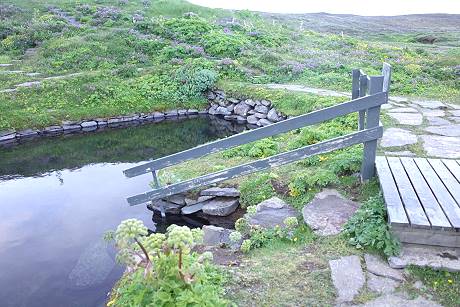 Ingvars Blumengarten oberhalb der Warmwasserquelle