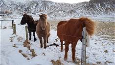 Unterhaltung unterwegs ...