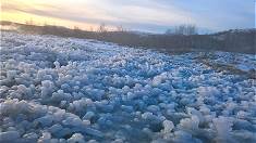 Vereistes Gras in der Dampffahne ...