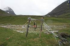 Treibgut-Kunstwerk ...