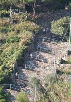 Diese "Lardarina" will geschafft werden ...