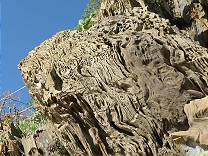 Bemerkenswerte Felsstrukturen ...