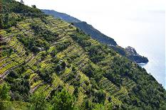 Blick in die Landschaft ...  