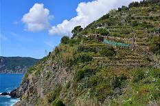 Man versteht, warum man hier niemals allein wandert ...