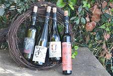 Belohnung muss sein: Weine der Cinque Terre ...