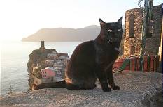 ... und Blick auf Vernazza MIT Katze ...