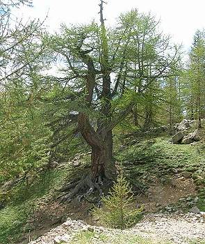 Eindrücke am Wegesrand ... Eindrücke am Wegesrand ...
