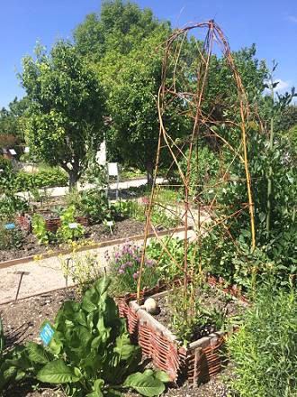 1.700 Pflanzen, geordnet nach Themengebieten ...