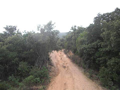 Stellenweise stark zugewachsen  ...