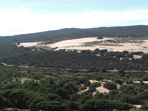 Dnen drfen hier nicht befahren werden ...