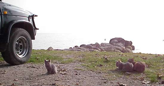 Interessierte Besucher ...