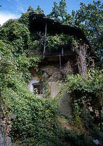 Alte Bauten, wo Dornrschen haust  ...