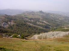 Noch magere Fotoausbeute ...