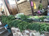 Marktstand mit frischen Krutern 